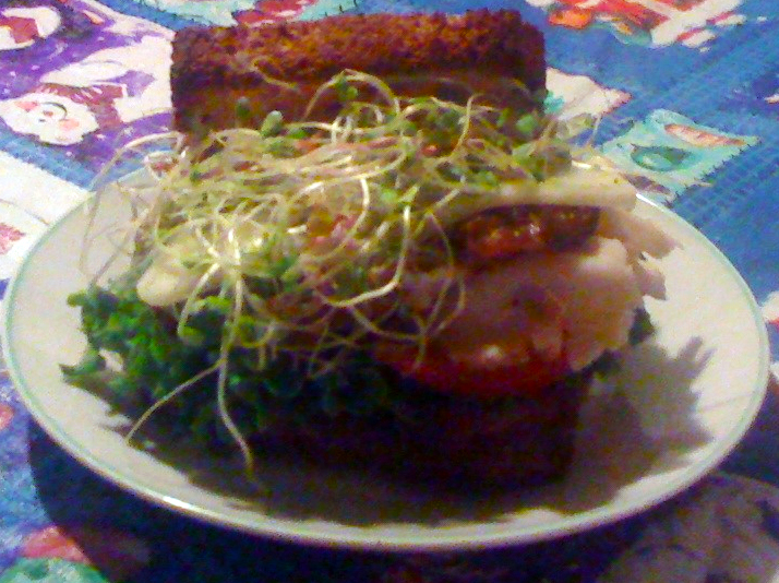 sandwich gluten free sandwich