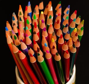 pencilcup pencil cup