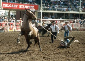 roundup roundup