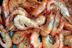 shrimps